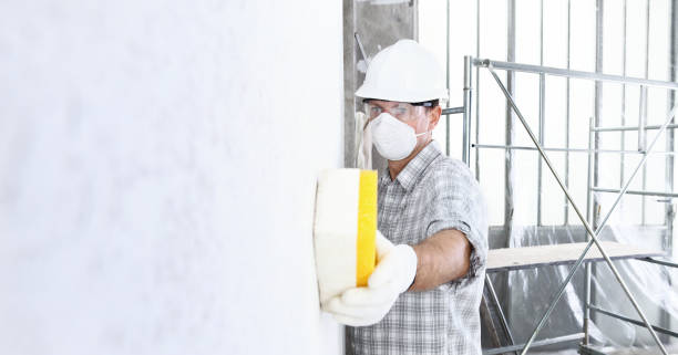 Mold Remediation for Vacation Homes in Crockett, TX